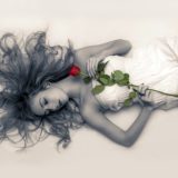 赤い薔薇を持った女性が寝ている